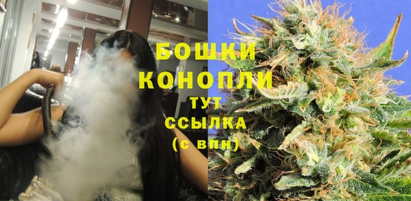 МДПВ Медвежьегорск