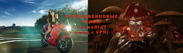 прущие грибы Навашино