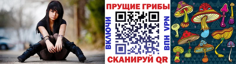хочу   Злынка  Псилоцибиновые грибы Psilocybine cubensis 